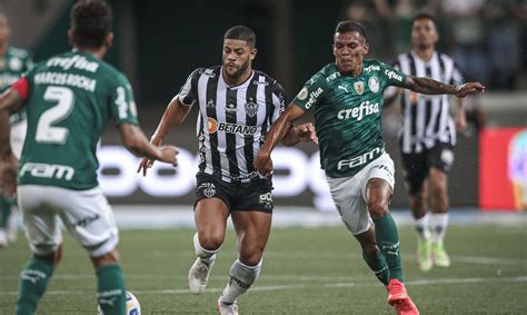 Galo Segura O Palmeiras E Só Zebra Tira Título Notibras