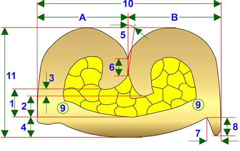 Busbars Basics And Use In Evs Wiring Harness News