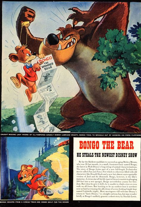 Bongo The Bear