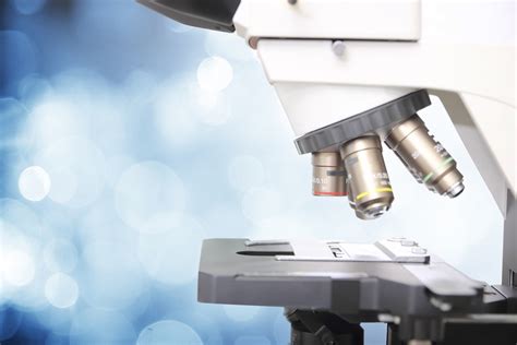 Compound Vs Stereo Microscopes What’s The Difference Unitron News And Events