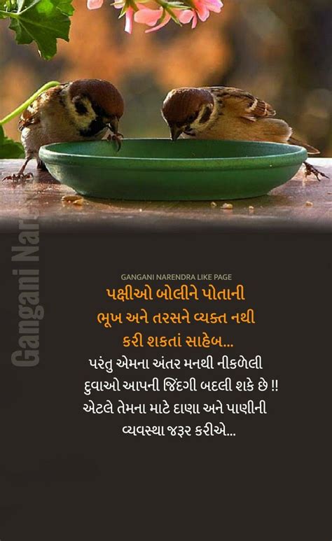 Pin By Ratna Pudaruth On Gujarati Quotes Savvy Quotes Insightful