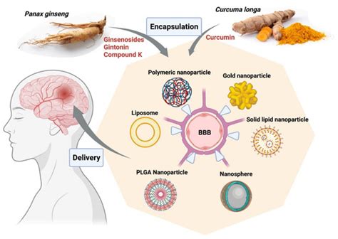 Nanomaterials Free Full Text Precision And Advanced Nano