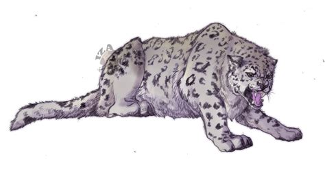 Snow Leopard Png Angry Snow Leopard By 6026 Kb Free Png Hdpng