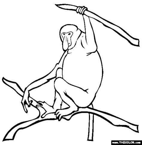 Proboscis Monkey Online Coloring Page