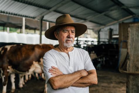 220 La Agricultura Farmer Ganadero Con Raza Mixta Ganado En Un Campo Fotografías De Stock