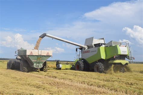 Corrientes Se Prepara Para La Cosecha De Arroz M S Baja Del Siglo