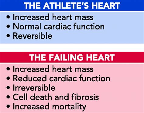 The Athletes Heart Vs The Failing Heart Can Signaling Explain The