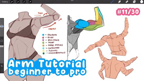 How To Easily Draw Arms Beginner To Pro Full Drawing Tutorial Art Bootcamp 1130 Youtube