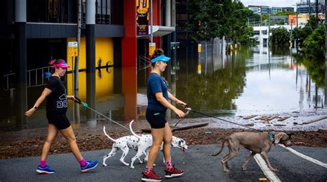 Australia Más De 16 Mil Evacuados Y Al Menos 8 Muertos Por Las