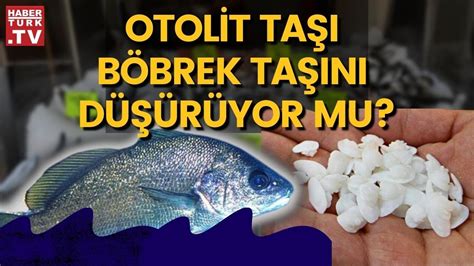 Balık taşının böbrek taşı düşürdüğüne inanılıyor YouTube