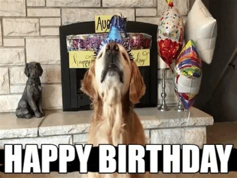 Happy Birthday D GIFs - Get the best GIF on GIPHY