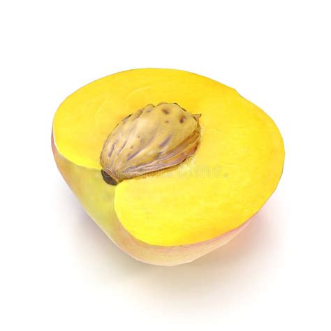 Half Of Peach With Seed Isolated On White Background 3d Illustration