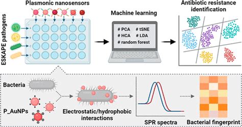 Identification Of Antibiotic Resistance In ESKAPE Pathogens Through