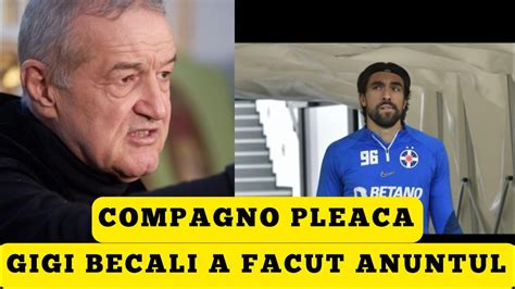 Gigi Becali A F Cut Anun Ul Despre Compagno Pleca In Usa Fcsb