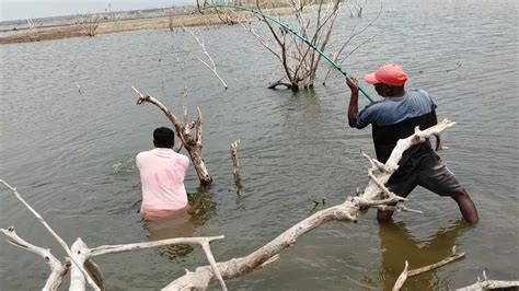 Unbelievable Fishing Video Professional Fisherman Catching Big Rohu