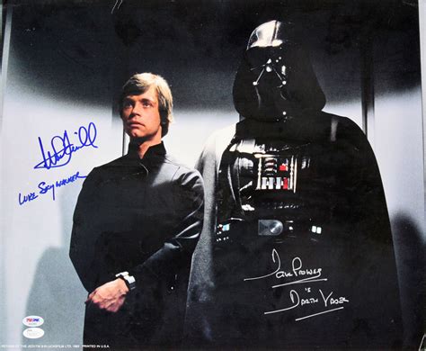 Lot Detail Star Wars Mark Hamill And David Prowse Dual Signed 16 X 20