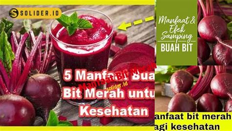 Temukan Manfaat Bit Merah Penemuan Dan Wawasan Yang Jarang Diketahui