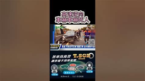 高速逆向把自己ko了台灣高登tsgd 高登安全制動 高登國際 剎車安全找高登 讓你碰不到車尾燈 三寶 三寶日常 三寶