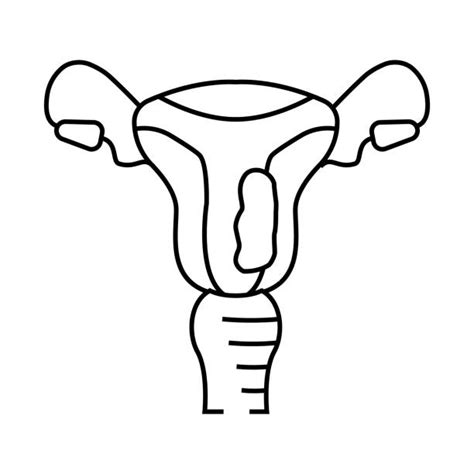 40 Endometrial Cancer Icon Stock Illustrations Royalty Free Vector