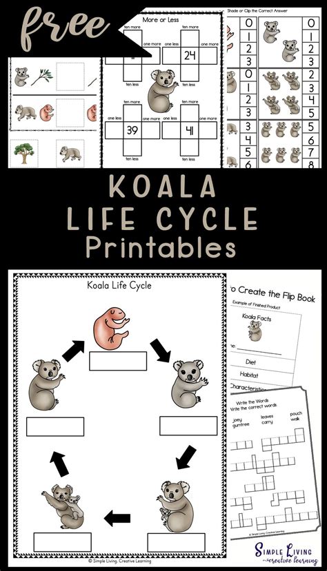 Koala Life Cycle Printables Graphing Activities Letter Activities