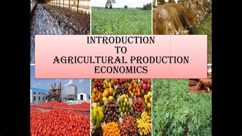 Introduction To Agricultural Economics 7th Edition Pdf