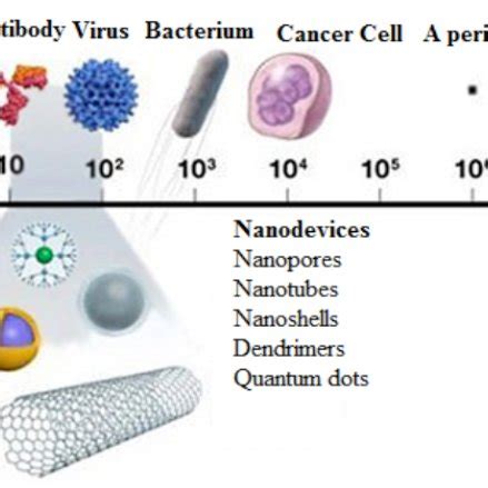 Structure Showing Nanoscale A Higher Resolution Colour Version Of