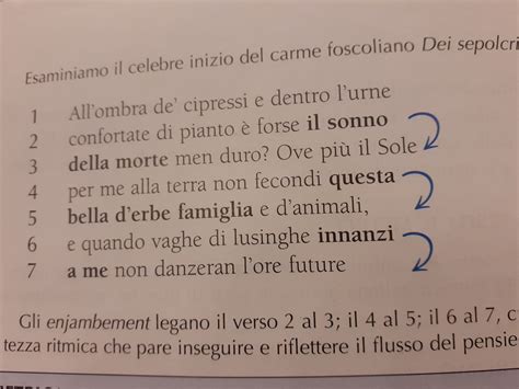 Come Fare Lanalisi Di Una Poesia Mastrogessetto