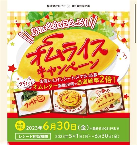 懸賞情報 ロピア、マルハチ 、万代、マックスバリュ西日本など きよの日常ブログ