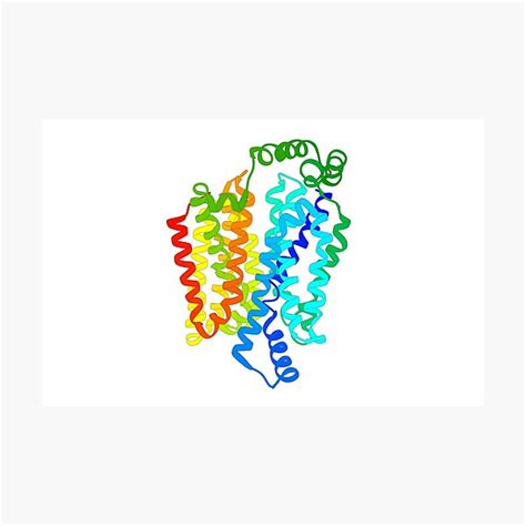 Lámina Fotográfica Transportador De Glucosa Glut1 De 3d Biology
