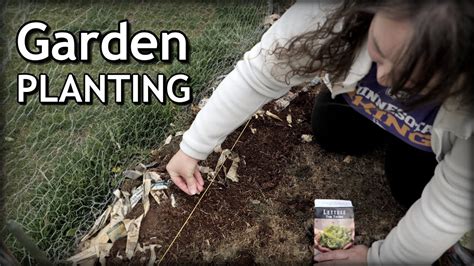 Planting Cool Weather Vegetable Garden Seeds Youtube