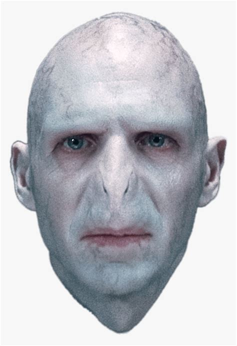 Ralph Fiennes As Lord Voldemort - Lord Voldemort, HD Png Download - kindpng