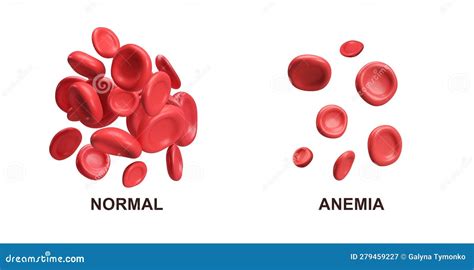 D Flow Red Blood Cells Iron Platelets Erythrocyte Normal And Anemia