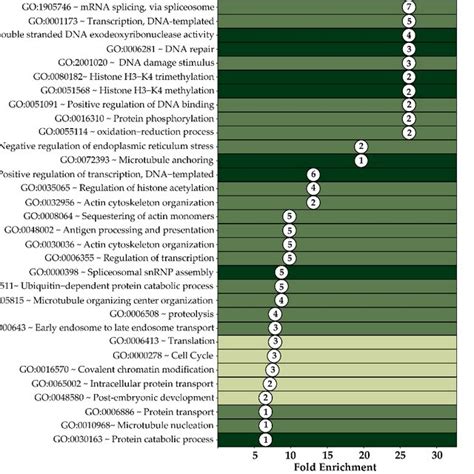 Gene Function Association By Gene Ontology Go Analysis With David In