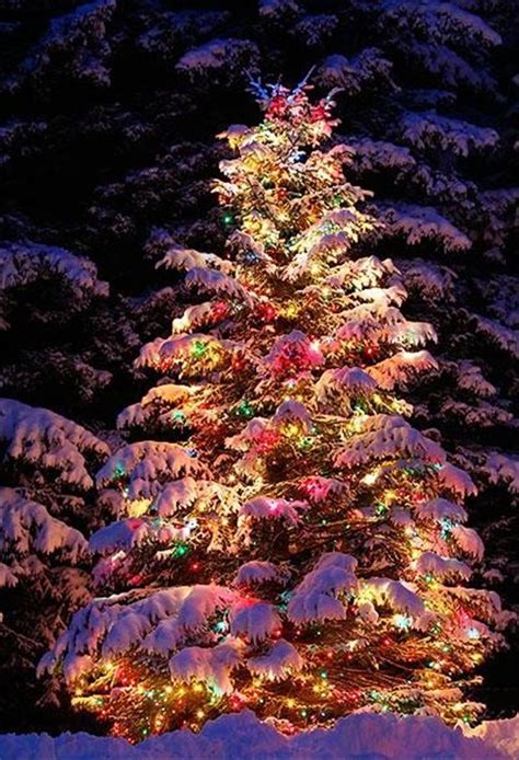 Beautiful christmas lights - Gallery | eBaum's World