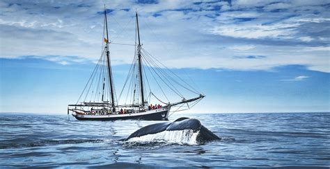 Iceland and the Askja — International Adventure Guides