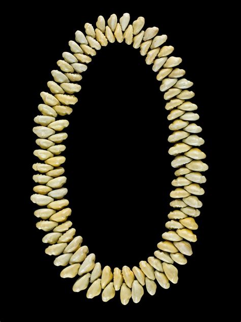 Cowrie Shell Necklace National Museum Of American History