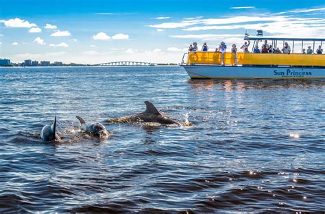 Afternoon Dolphin & Wildlife Cruise | Adventures in Paradise - Fort ...