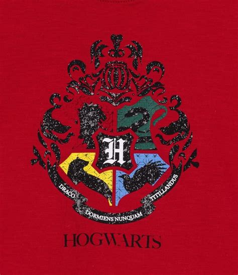 Remera Infantil Estampado Escudo Hogwarts Harry Potter Talle 1 A 5