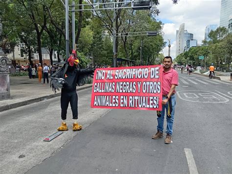 Marcha Contra El Maltrato Animal En Cdmx