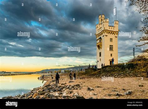 M Useturm In Bingen Am Rhein Bei Niedrigwasser Beginn Des