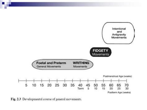 General Movements Pptx