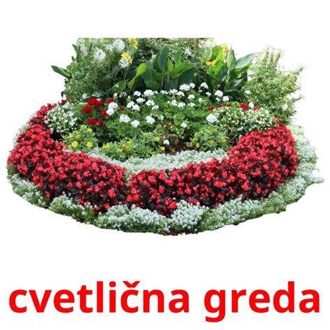 88 FREE Slovenian Home Flashcards | PDF