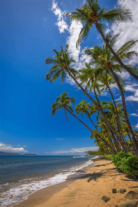 Samaná | Beautiful beaches, Tropical paradise beach, Beautiful photos ...