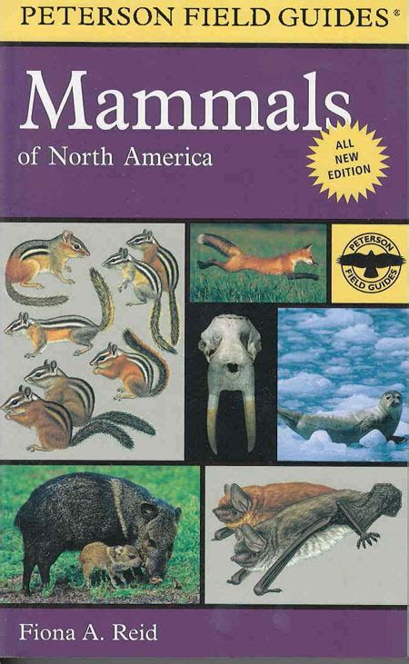 Mammals of North America – Death Valley Natural History Association ...