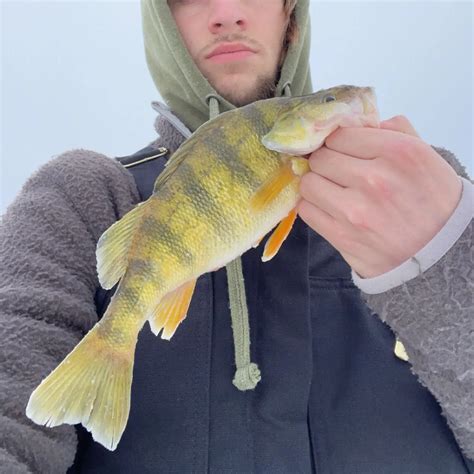 Eagle Lake Fishing Reports🎣• Burlington Wi United States Fishing