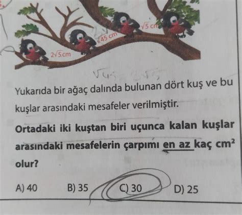 bunun cevabı lazım acil Eodev