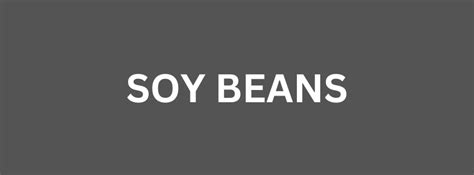 Soy Beans Zaph And Zoe Agro Export Company
