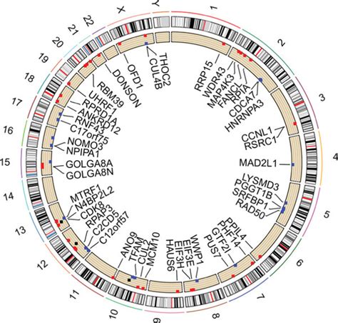 Landscape Of Genetic Variation Of M A Related Exosome Gene In Colon