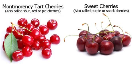 Tart Cherry Juice Concentrate Benefits