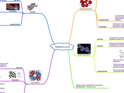 Biomol Culas Mind Map